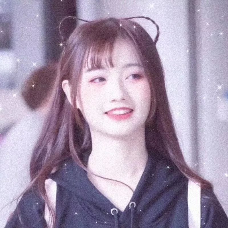 春光之境 在线观看封面