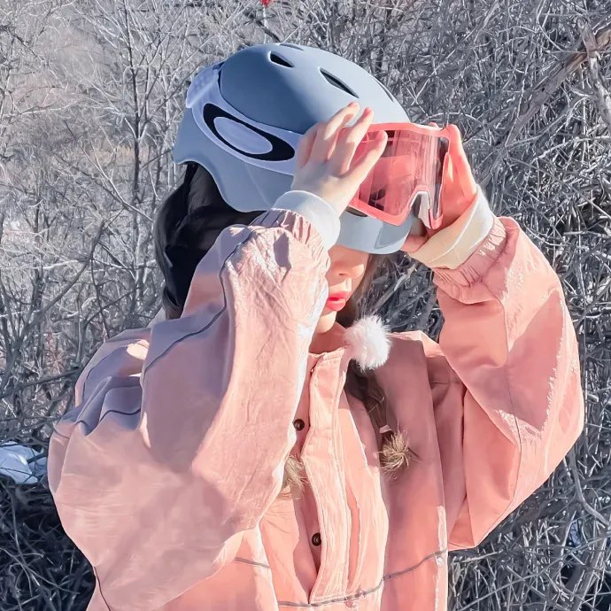 飞越雪乡情 在线观看封面