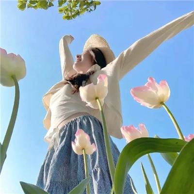 花月杀手 在线观看封面